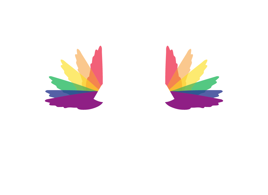 Birds eye view drone photography